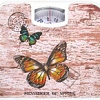 Напольные весы IRIT IR-7312 (бабочки)
