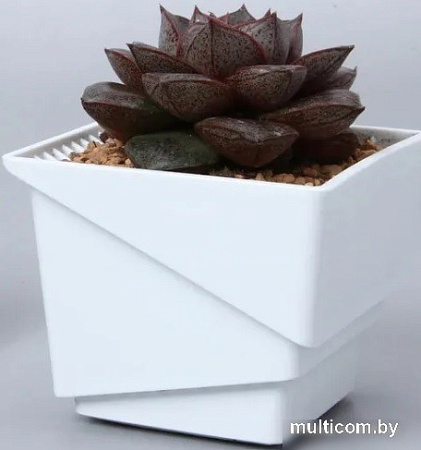 Кассета/горшок для рассады Botanica Air (7.35x6.5см, белый)