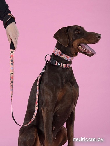 Поводок United Pets Complete Me 2 (L, forever)