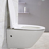 Унитаз BelBagno Alpha BB300CHR