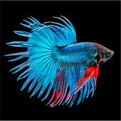 Картина на стекле ArtaBosko LM-02-45-03 (40x40)