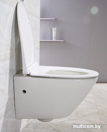 Унитаз BelBagno Alpha BB300CHR