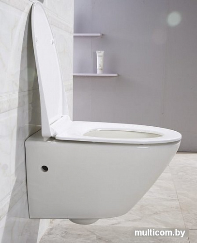 Унитаз BelBagno Alpha BB300CHR