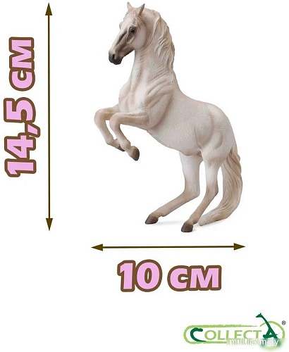 Фигурка Collecta Жеребец липициана 88518b