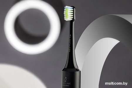 Электрическая зубная щетка Revyline RL 040 Black Rabbit Special Edition (черный)