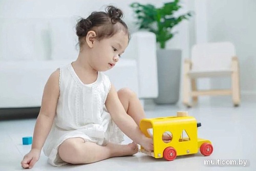 Сортер Plan Toys Автобус 5121