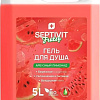Septivit Гель для душа Frutsy Арбузный лимонад 5 л