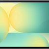 Планшет Samsung Galaxy Tab S10 FE+ Wi-Fi SM-X620 12GB/256GB (серебристый)