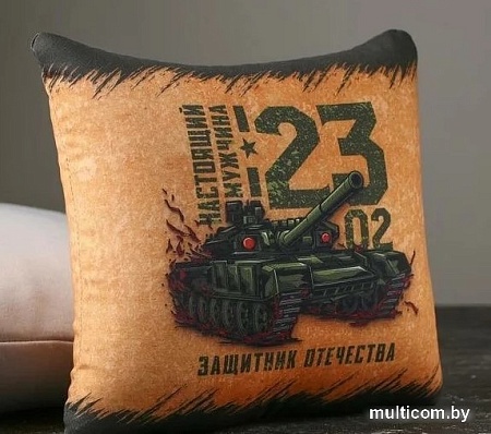 Декоративная подушка Mni Mnu Защитник Отечества 5513570