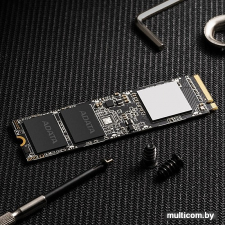 SSD A-Data XPG SX8100 1TB ASX8100NP-1TT-C