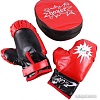Детский набор для бокса Darvish SR-T-1361