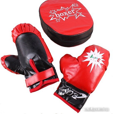 Детский набор для бокса Darvish SR-T-1361