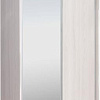 Шкаф-купе Рэйгрупп 120 YYX Elgon РГ-12.02 (ясень снежный/хром)
