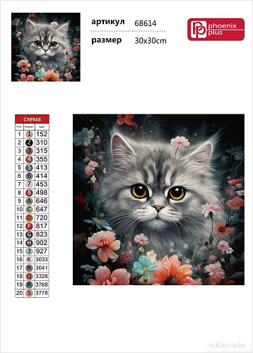 Феникс+ Котик в ночном поле 68614