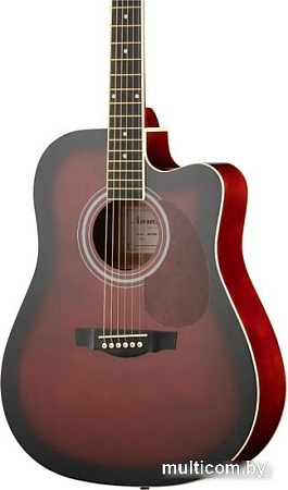 Акустическая гитара Naranda DG120CWRS