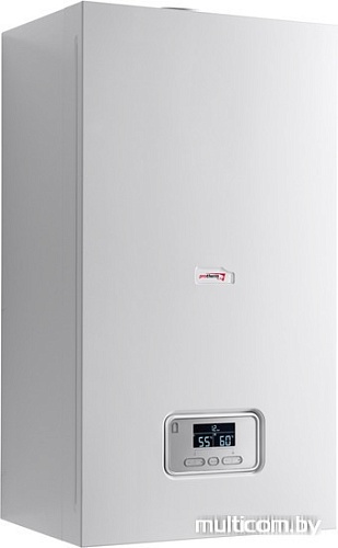 Отопительный котел Protherm Пантера 25 KTV