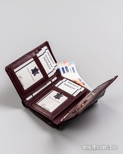 Кошелек Cedar Rovicky R-RD-33-GCL (сливовый)