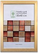 Фоторамка Палитра Д30С 40x60