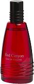 Туалетная вода Real Time Red Canyon Men EdT (100 мл)