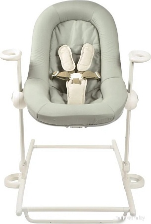 Beaba Lichen Transat Up & Down + Eu Lichen 915049