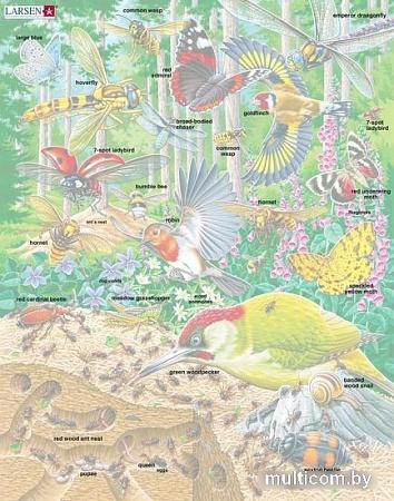 Пазл Larsen Муравейник и жизнь вокруг FH46