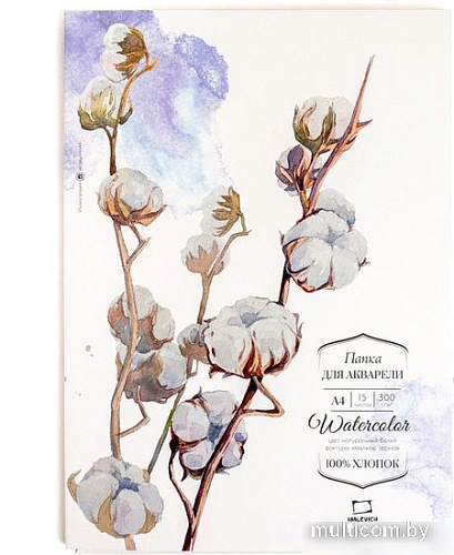 Набор бумаги для рисования Малевичъ 402206 (15л)