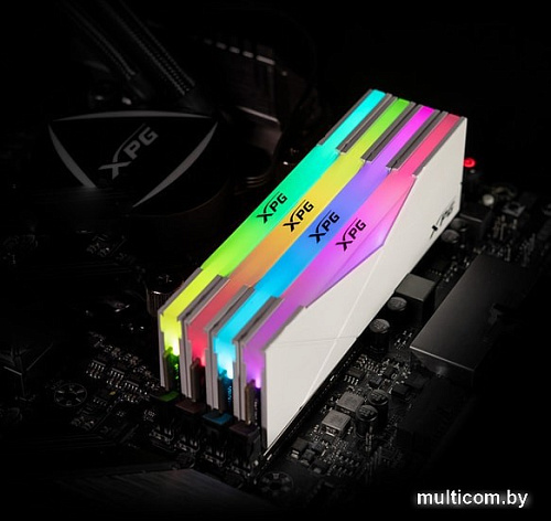 Оперативная память A-Data XPG Spectrix D50 RGB 8GB DDR4 PC4-25600 AX4U32008G16A-SW50