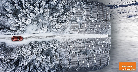 Зимние шины Pace Antarctica Ice 205/55R16 91T