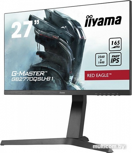 Монитор Iiyama Red Eagle G-Master GB2770QSU-B1