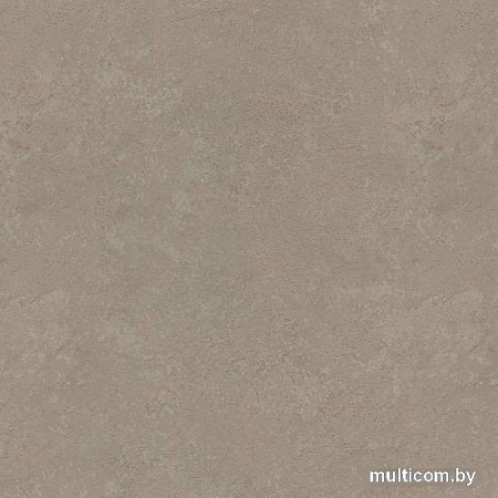 Виниловые обои Rasch Metal Spirit 977141