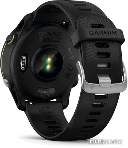 Умные часы Garmin Forerunner 255 Music 46 мм (черный)