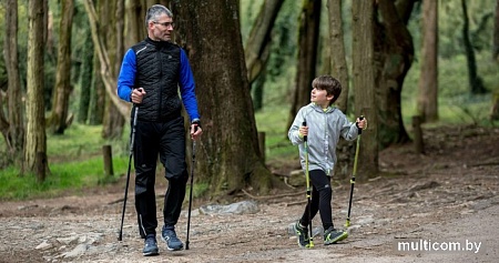 Палки для скандинавской ходьбы RoadLike 401170 (зеленый)