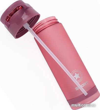 Бутылка для воды Darvish DV-H-1605-2 750мл (розовый)