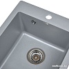Кухонная мойка Wisent 420-29W (с сифоном GER013)