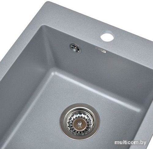 Кухонная мойка Wisent 420-29W (с сифоном GER013)
