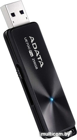 USB Flash A-Data UE700 Pro 256GB (черный)