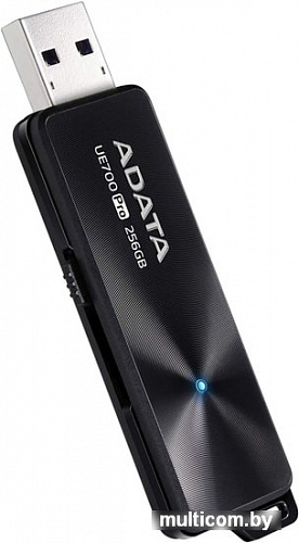 USB Flash A-Data UE700 Pro 256GB (черный)