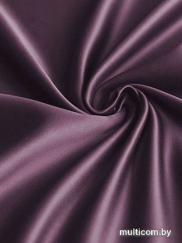 Комплект штор Pasionaria Блэквуд 400x240 (фиолетовый)