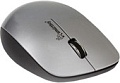 Мышь SmartBuy 309AG Silver/Black (SBM-309AG-SK)
