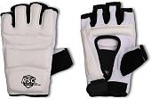 Перчатки для единоборств RSC Sport PU 3650 L (белый)