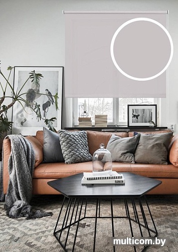 Рулонные шторы Эскар Plain 57x160 71107057160 (серый)