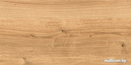 Керамогранит (плитка грес) Cersanit Woodhouse 598x297 (Brown)