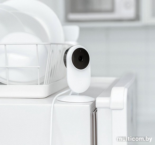 IP-камера Xiaomi MiJia 1080p SXJ01ZM