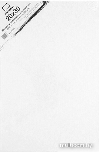 Холст для рисования Малевичъ На картоне 222030 (20х30см)