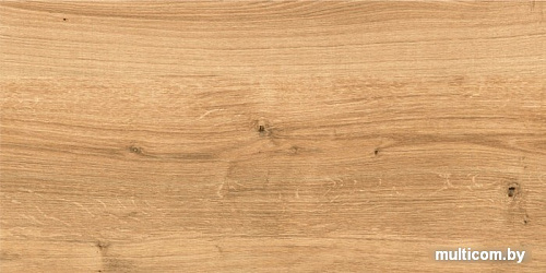 Керамогранит (плитка грес) Cersanit Woodhouse 598x297 (Brown)