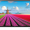 Телевизор LG 43LJ594V