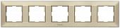 Рамка Panasonic Arkedia Slim WNTF08052BR-BY