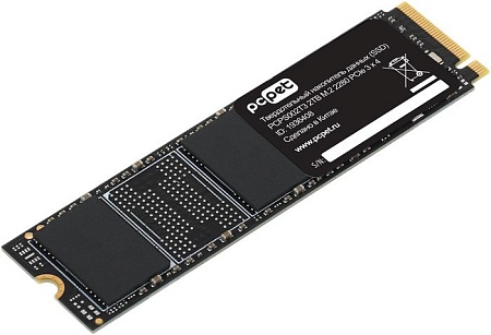 SSD PC Pet 2TB PCPS002T3