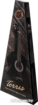 Акустическая гитара Terris TF-3805A BK