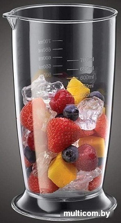 Погружной блендер Russell Hobbs Horizon 24691-56